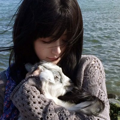 怪猫菲力兹