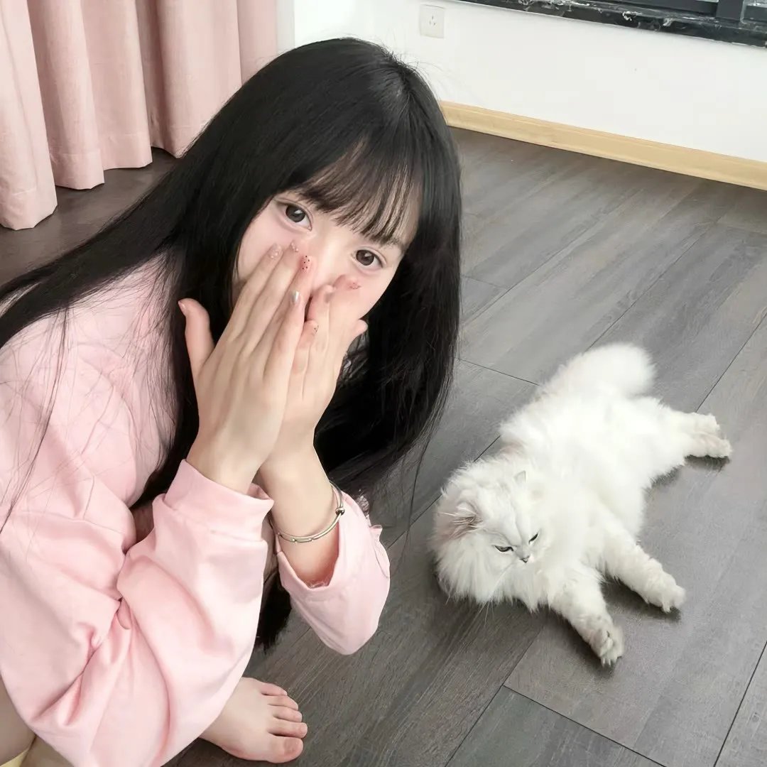 奶酪